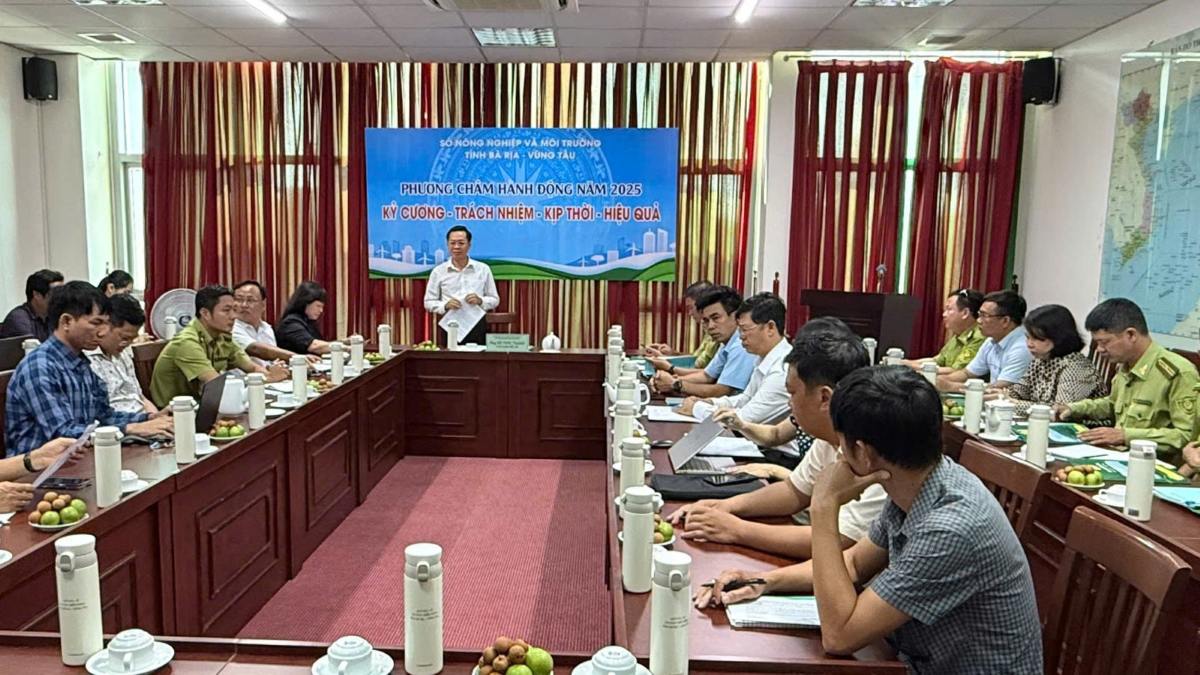 Ho Chi Minh City deploys the task of investigating the current forest status in Ba Ria - Vung Tau. Photo: Thanh An