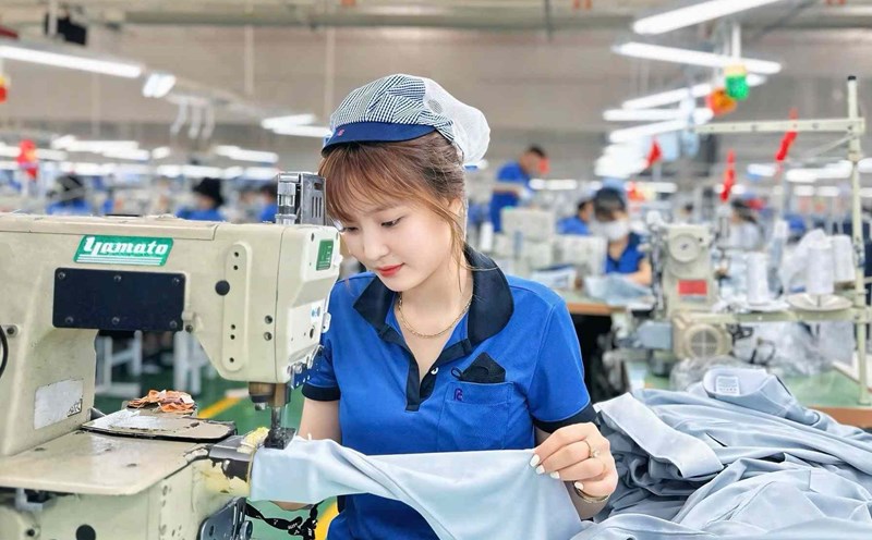 Female worker at New Apparel Far Eastern Company Limited - Vietnam. Photo: Provided by the Trade Union
