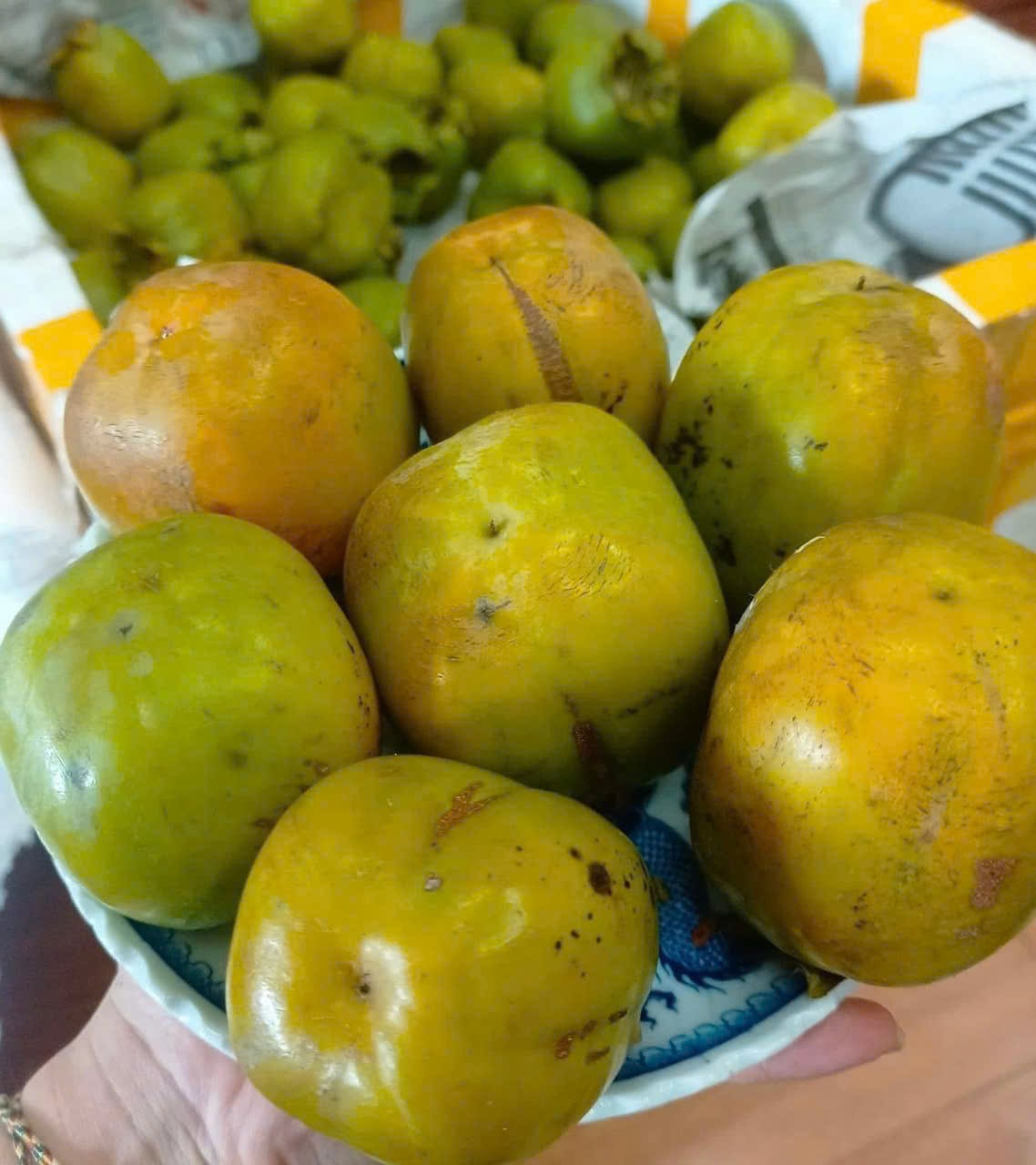 Persimmons are not only a delicious autumn fruit but also help protect the liver if you know how to eat them properly. Photo: Quang Minh.