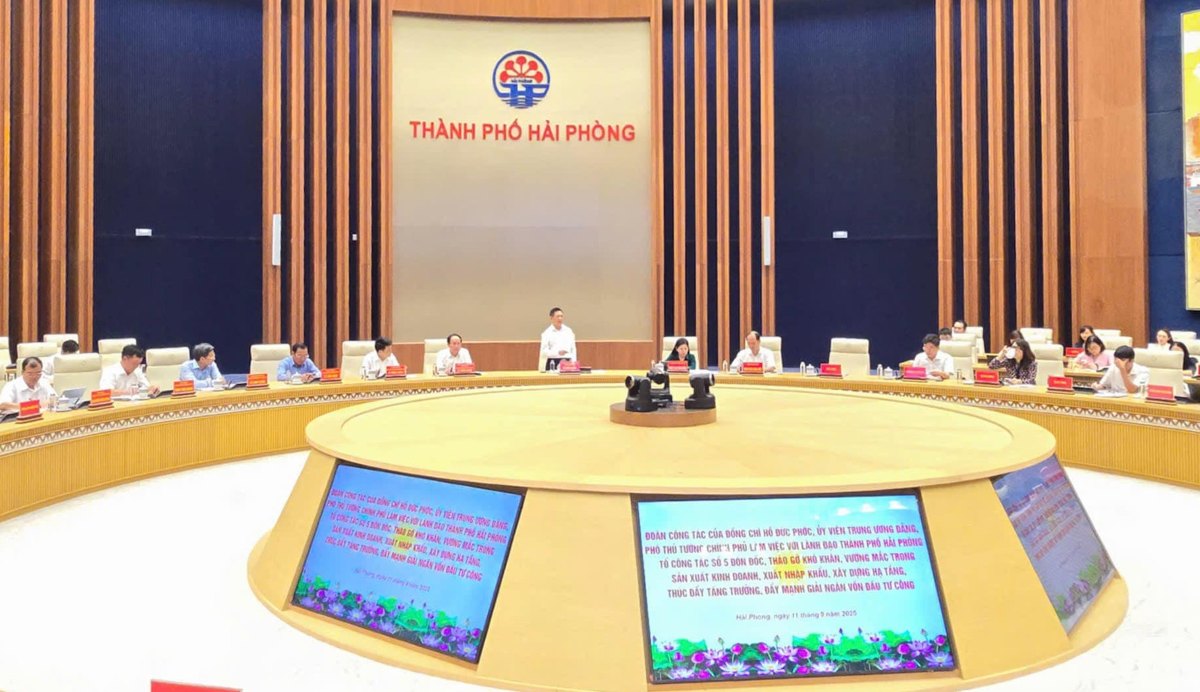Quang canh hoi nghi. Ảnh: Cong TTDT Hai Phong