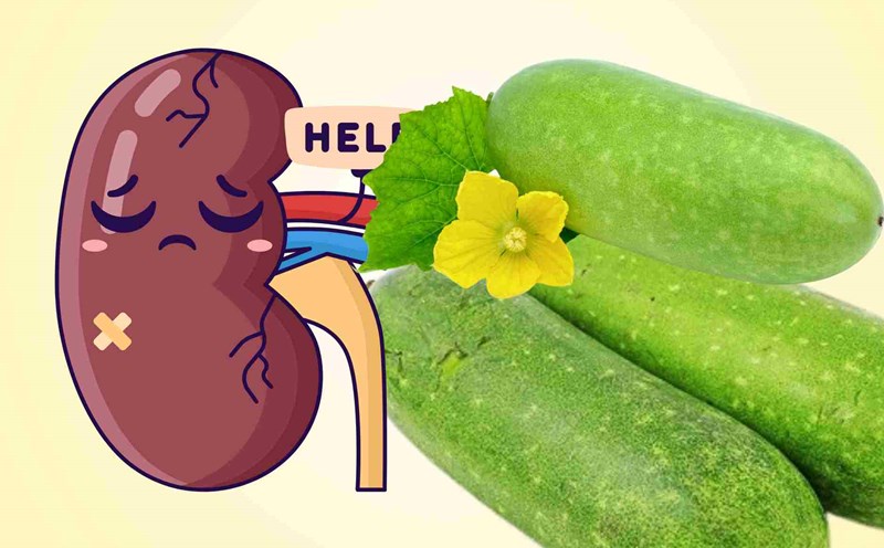 cool squash to cool down but can damage the kidneys if eaten in excess