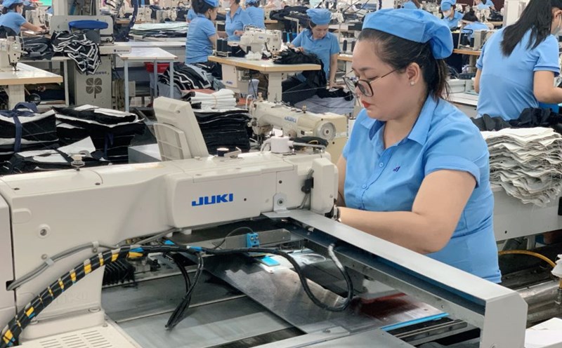 The situation of workers has changed favorably after applying the initiative of Mr. Nguyen Duc Manh. Photo: Duc Manh