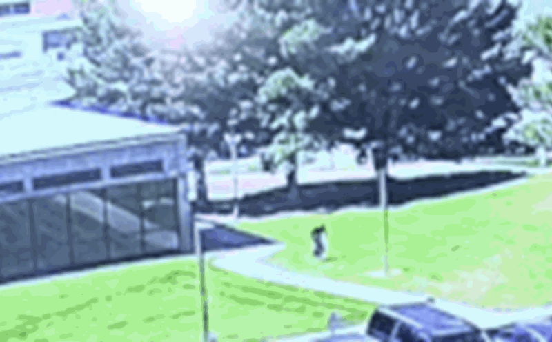 Charlie Kirk's suspect fled the scene. Photo: AFP