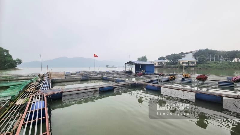 A typical fish farming model in Thai Nguyen. Photo: Lam Thanh