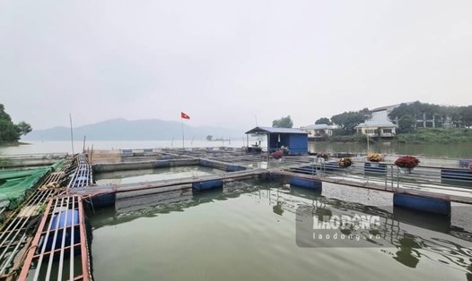 Một mô hình nuôi cá đặc trưng ở Thái Nguyên. Ảnh: Lam Thanh