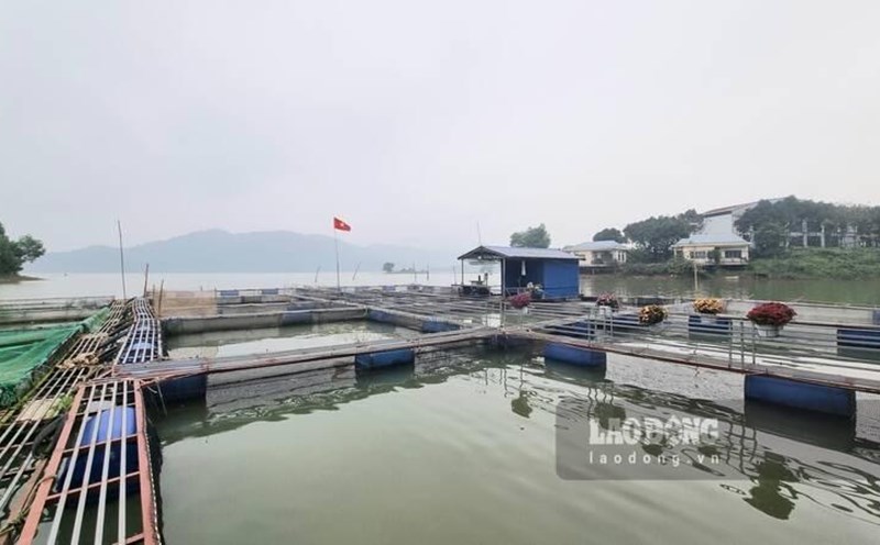 A typical fish farming model in Thai Nguyen. Photo: Lam Thanh