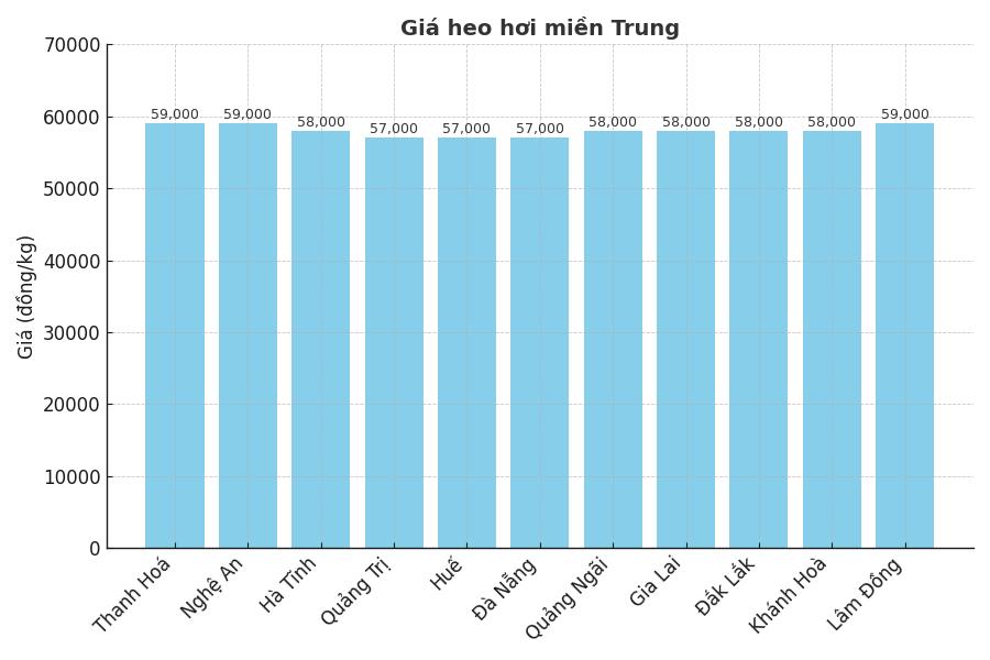 Gia heo hoi hom nay 12.9 tai mien Trung. Do hoa: Thuy Linh. 