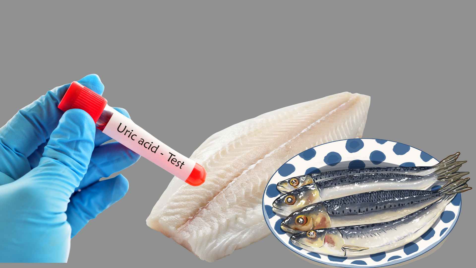 一部の白い魚種は尿酸値を上昇させません。グラフィック写真:Huong Giang