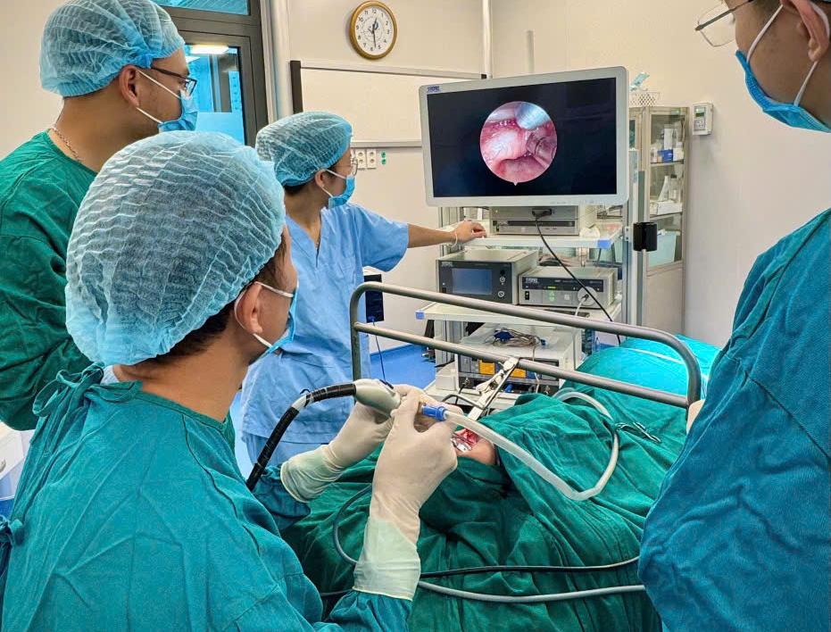 Successful surgery on a 32-day-old newborn with a rare tumor. Photo: BVCC