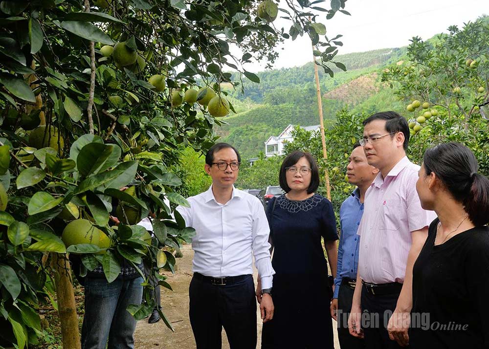 Pho Vu truong Vu Dinh che tai chinh Nguyen Viet Hung (ao trang) cung doan cong tac tham mo hinh vay von phat trien kinh te gia dinh anh Nguyen Van Minh o thon Soi Ha, xa Xuan Van. Anh: Bao Tuyen Quang Online