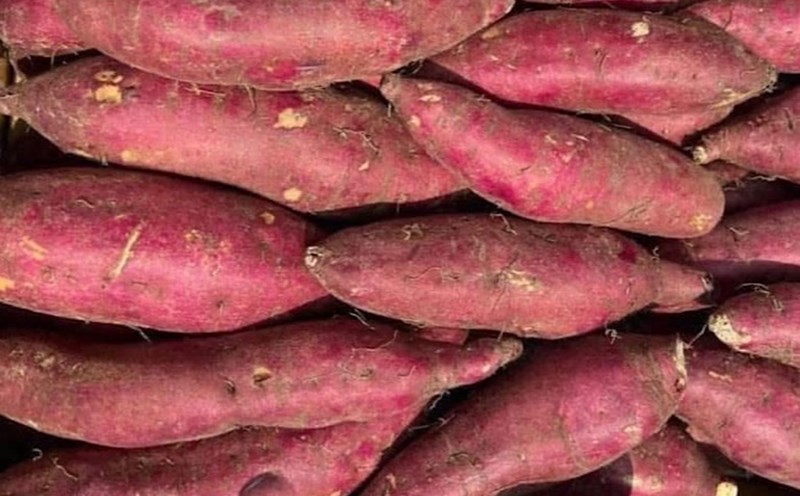 Sweet potatoes are low in purines and high in fiber, which helps excrete uric acid. Photo: Kieu Vu