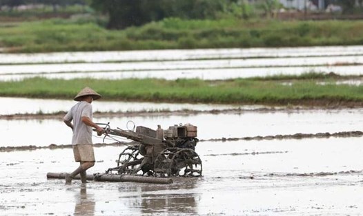 Thủ tục miễn giảm thuế sử dụng đất phi nông nghiệp khi gặp sự kiện bất khả kháng được áp dụng theo quy định mới. Ảnh: Phan Anh