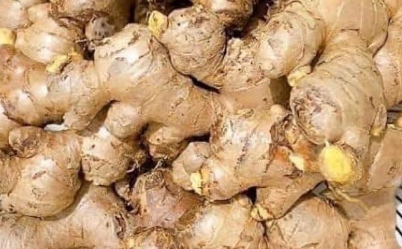 Ginger, a traditional medicine for preventing nausea. Photo: Thuy Duong