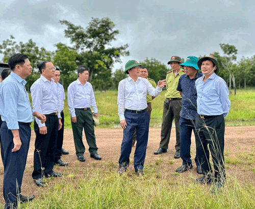 Le secretaire du Comite provincial du Parti de Gia Lai Ho Quoc Dung travaille dans la commune frontaliere d'Ia Mo ou de nombreuses parcelles de terres en caoutchouc sont inefficaces. Photo : Thanh Tuan