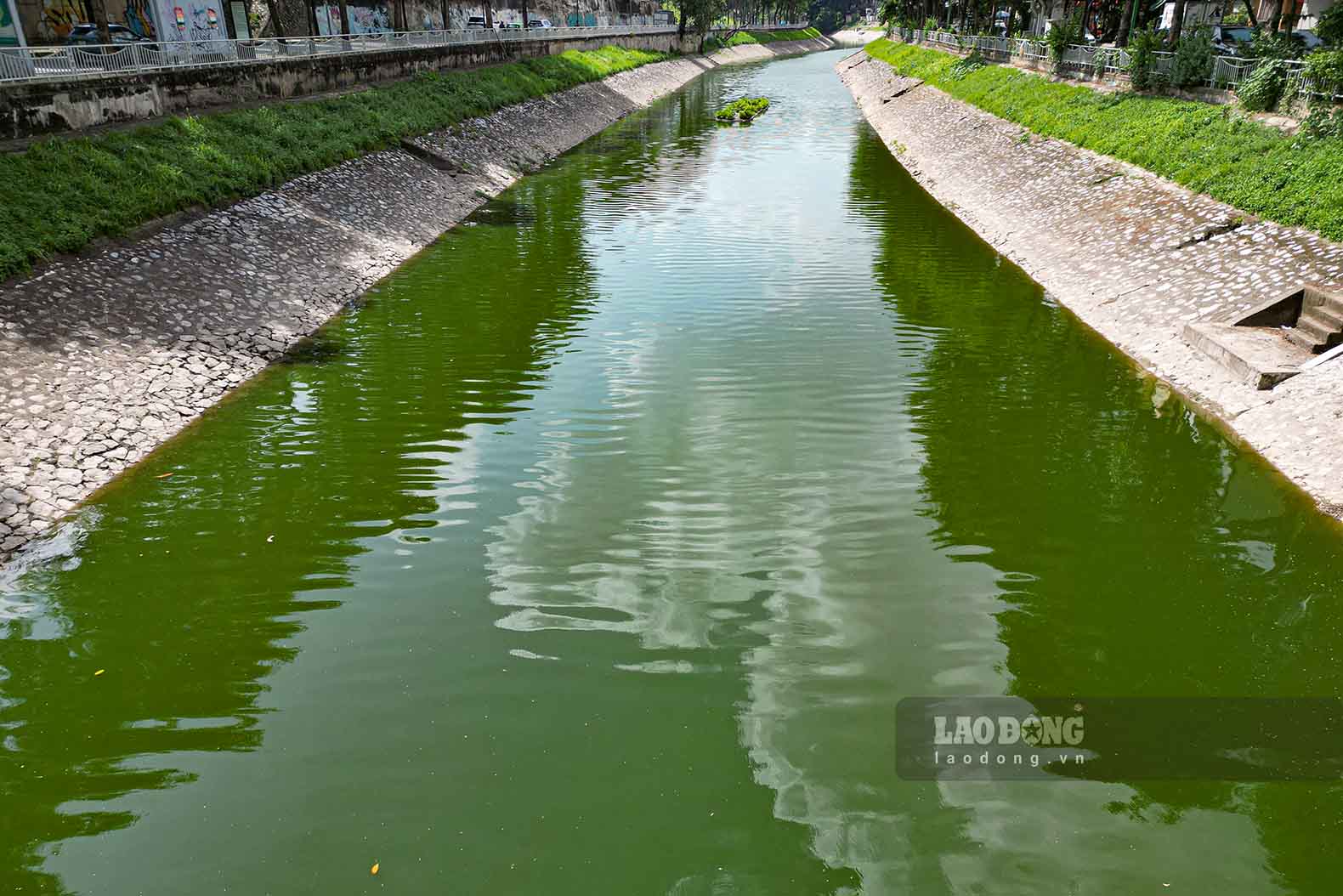 Nuoc tren song To Lich xanh mat. Anh: Thien Nhan