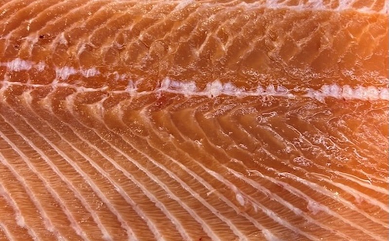 Salmon is considered one of the safe sources of calcium supplementation. Photo: Kieu Vu
