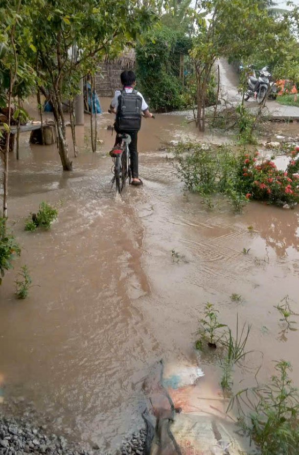 Sat lo nghiem trong ket hop trieu cuong lam anh huong den viec di lai cua nguoi dan ap Truong Phu (xa Nhon My, TP Can Tho). Anh: Nguoi dan cung cap