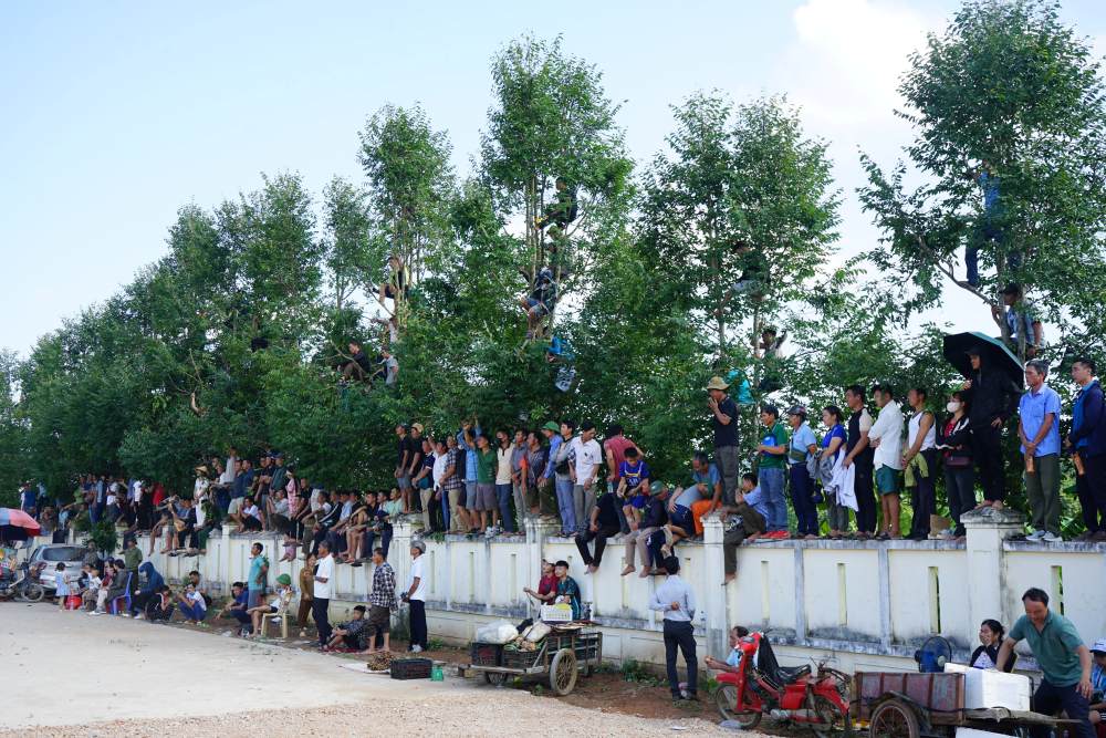Tham chi nhieu nguoi phai leo len cay cao moi co the theo doi cac cau thu thi dau. Anh: Quach Du
