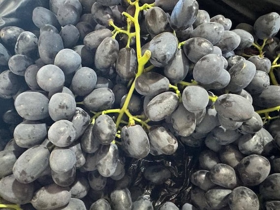 Eat fresh grapes and avoid eating too close to bedtime to relax and have a good night's sleep. Photo: Kieu Vu