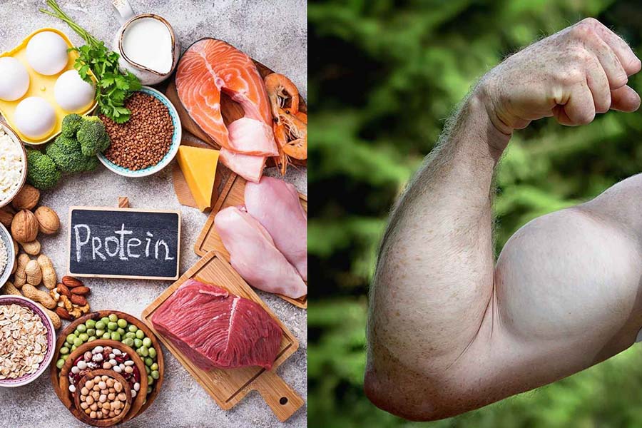 Les proteines sont le composant essentiel de toutes les cellules et tissus du corps qui aident a reparer maintenir et soutenir l'augmentation musculaire. Graphique : Ngoc Linh