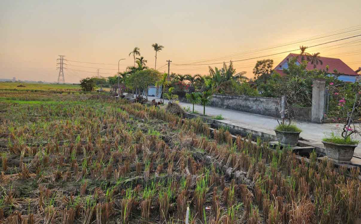 The Ministry of Agriculture and Environment responded to voters about the loss of life but still having land for production. Photo: Cao Nguyen.