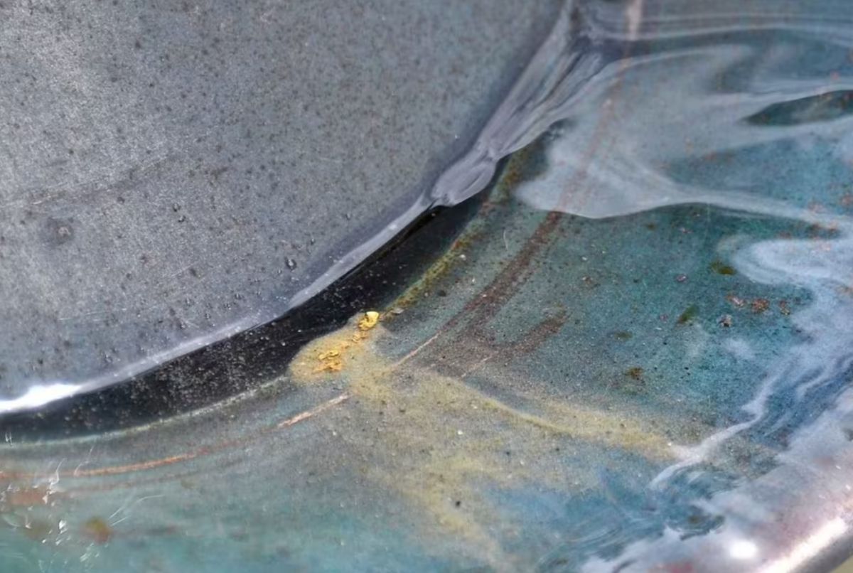 El oro se puede ver a simple vista en algunas muestras de agua de mar. Foto: Earth.com