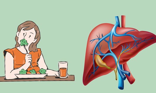 Chế độ ăn giải độc gan nếu thực hiện sai sẽ gây hại cho gan. Ảnh đồ họa: Hoàng Lộc