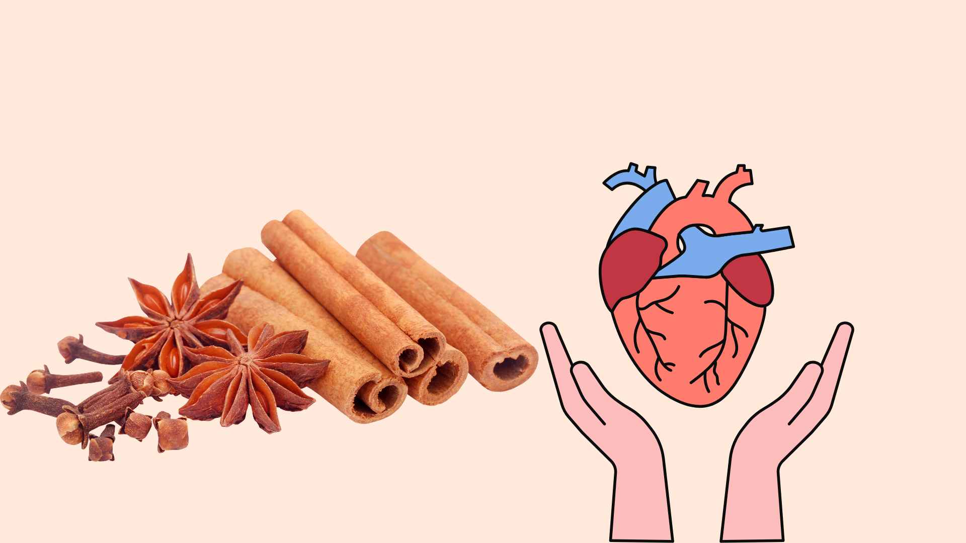 Cinnamon helps protect the cardiovascular system effectively. Graphic photo: Hoang Loc