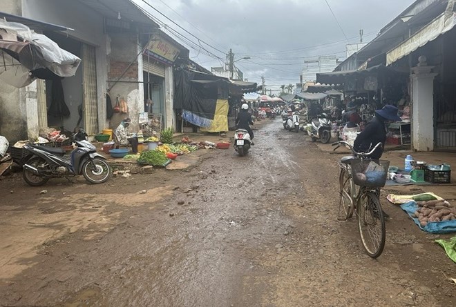 Trafic a Pong Drang, province de Dak Lak. Photo: Bao Trung