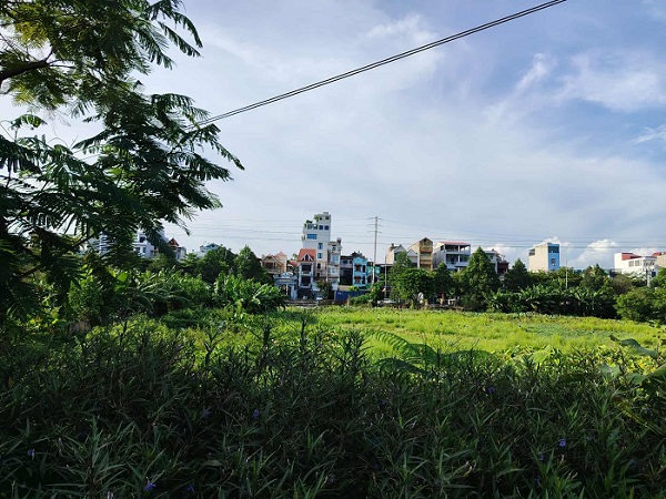 Many people wonder about the regulation on converting agricultural land to residential land. Photo: Xuyen Dong