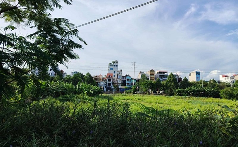 Many people wonder about the regulation on converting agricultural land to residential land. Photo: Xuyen Dong