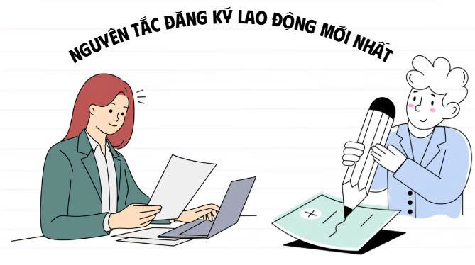 最新の労働登録原則