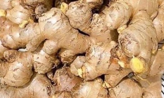 Nước gừng kết hợp bạc hà là một giải pháp tự nhiên, đơn giản nhưng hiệu quả để hỗ trợ giải độc gan. Ảnh: Kiều Vũ.