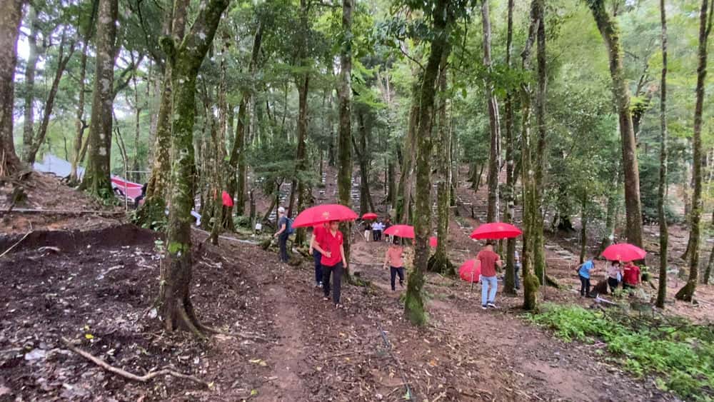 Natural forests are both a medicinal herb, attracting tourism, creating livelihoods and potential to become a World Biosphere Reserve. Photo: Thanh Tuan