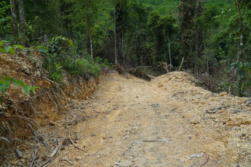 Tuyen duong moi mo gan khu rung bi chat pha. Anh: Minh Hoang