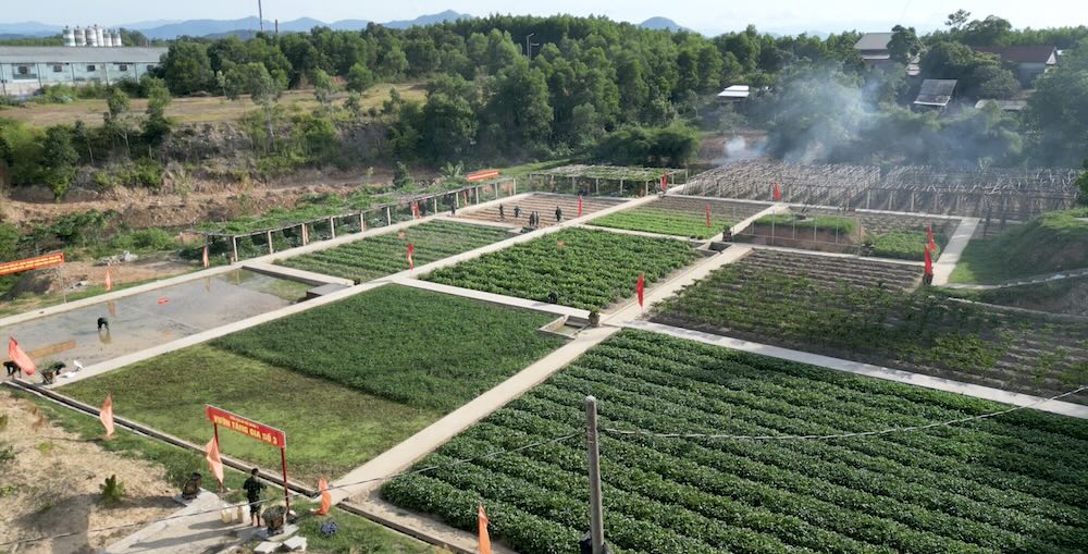 Surprised by the large-scale production and livestock farming model of Regiment 6 in the barren land. Photo: Quang Dao