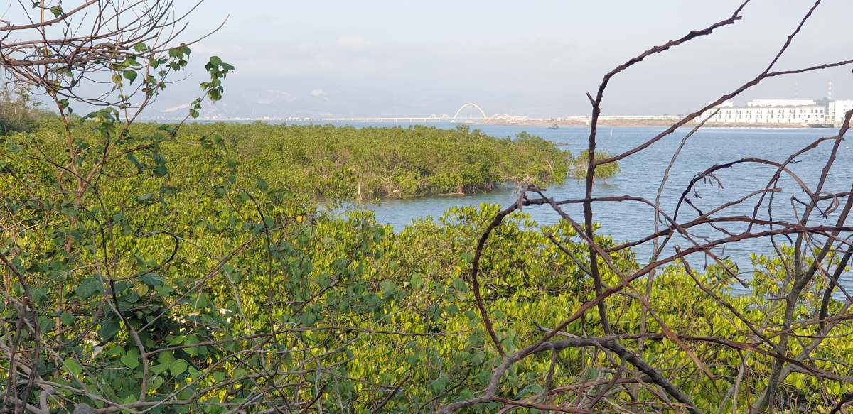 Cua Luc Bayの角。写真：Nguyen Hung