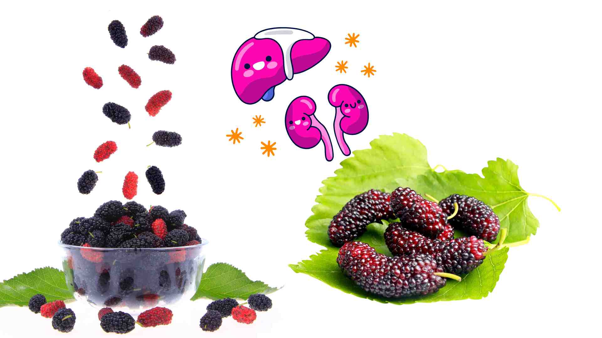Supplementing mulberries will be good for the liver and kidneys. Graphics: Ha May