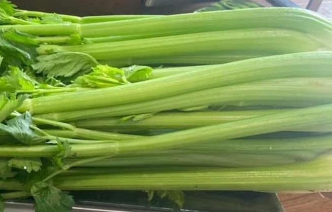 Celery juice is one of the juices that are good for the kidneys when drunk before breakfast. Photo: Kieu Vu