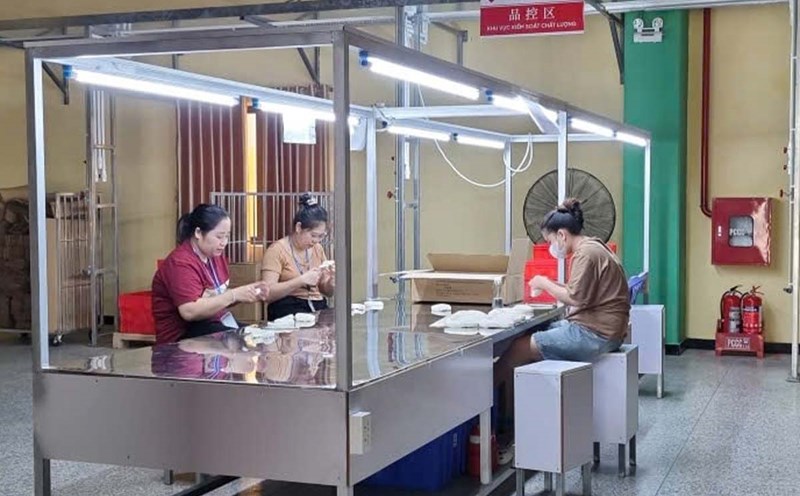 Workers work at the Branch of Victory Vietnam Shoes Company Limited (Hoa Xa Industrial Park, Thanh Nam Ward, Ninh Binh Province). Photo: Thanh Huyen