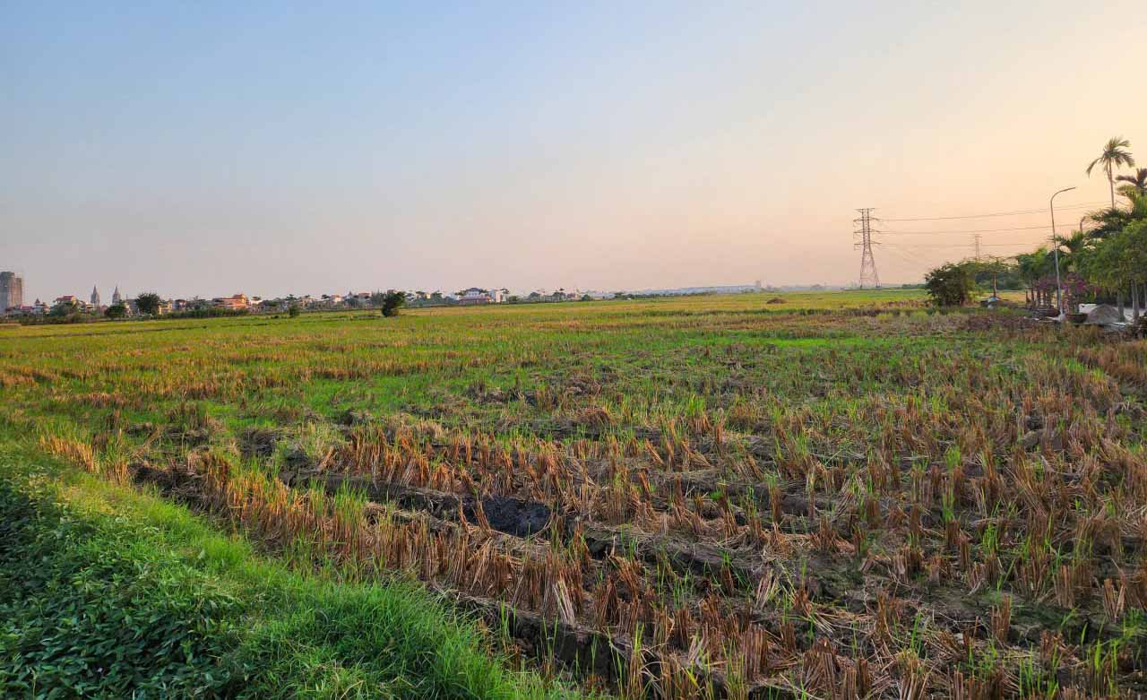 Voters recommend the need for mechanisms and policies to invest in infrastructure works and equipment for agricultural production. Photo: Cao Nguyen.