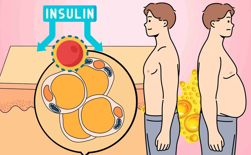 Nutritious foods control insulin to help reduce excess fat