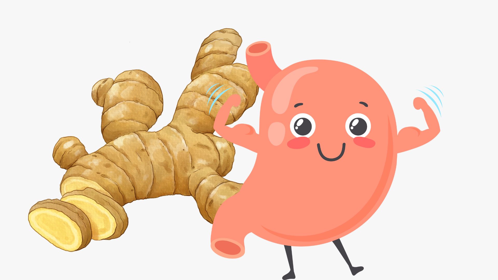 생강은 팽만감을 줄이는 데 도움이 되는 향신료입니다. 그래픽: Thanh Thanh