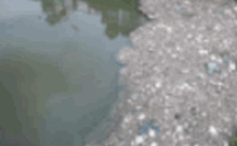 Black Water Canal in Ho Chi Minh City re-pollutes, floating garbage is dense, bottles cover the canal surface