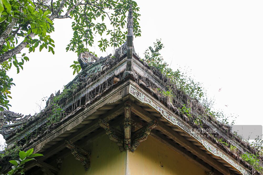 Ngay 15.9, trao doi voi PV Bao Lao Dong, ong Nguyen Duc Loc – Giam doc Bao tang Lich su TP Hue cho biet, don vi da trinh de an cai tao khu di tich Chin Ham va nha Ngo Dinh Can nhung chua duoc phe duyet. 