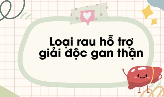 Cải xoăn chứa nhiều vitamin C, vitamin K... giúp hỗ trợ giải độc gan thận hiệu quả. Ảnh đồ hoạ: Hương Sơn