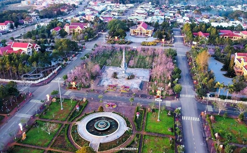 The central square of Mang Den commune, Quang Ngai province is planted with many cherry apricots, attracting many visitors. Photo: Y Trang