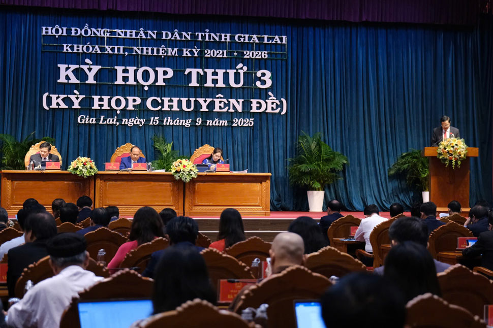 회의 장면. 사진: Hoai Phuong