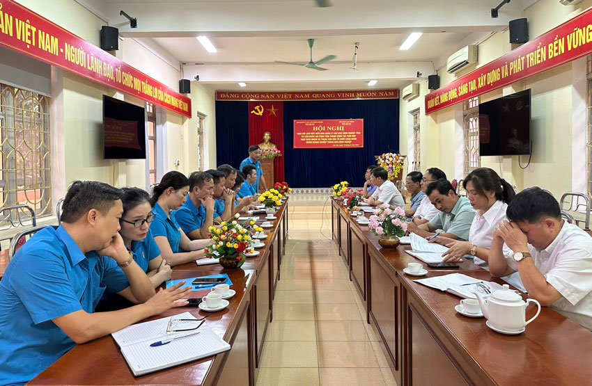 Toan canh Hoi nghi. Anh: Manh Hung