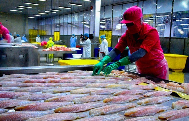 Hoa Kỳ sắp dừng nhập khẩu nhiều loại hải sản của Việt Nam từ 1.1.2026